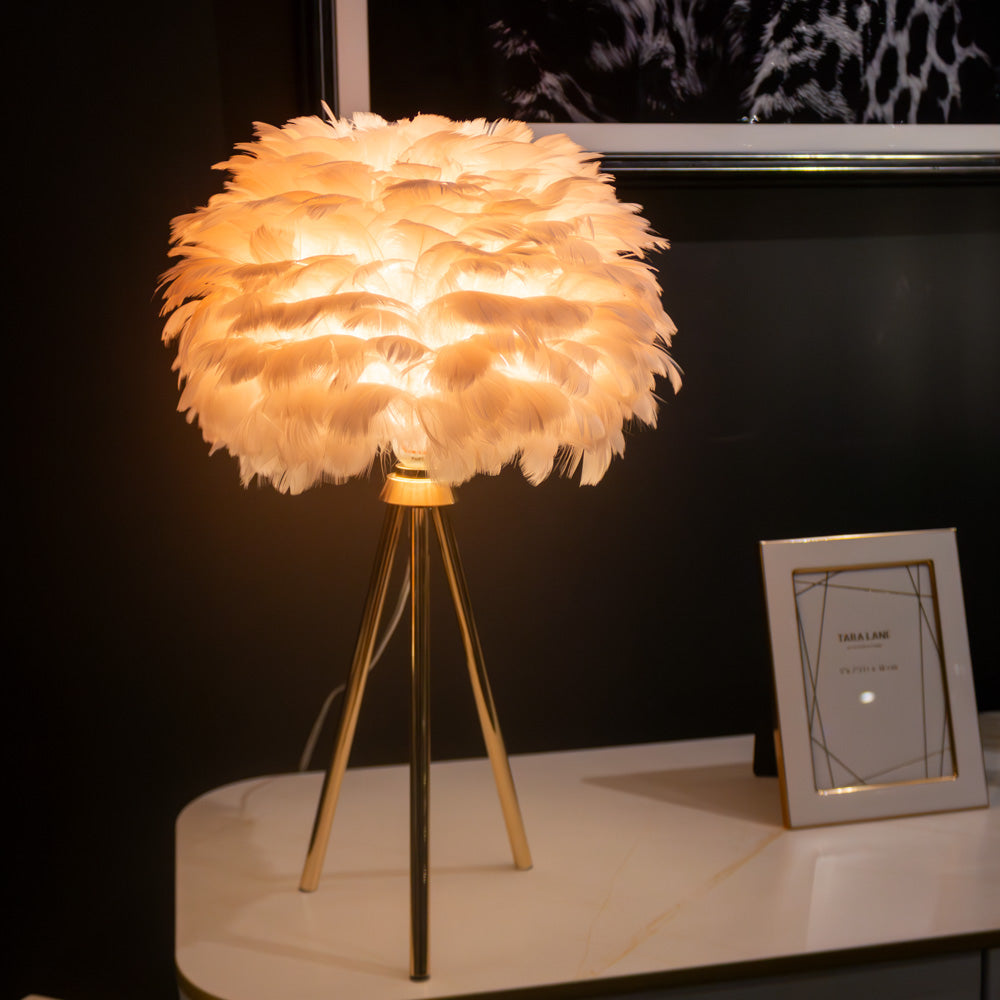 Feather Lamp