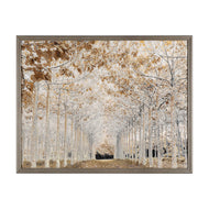Framed Canvas Tree Lined Avenue