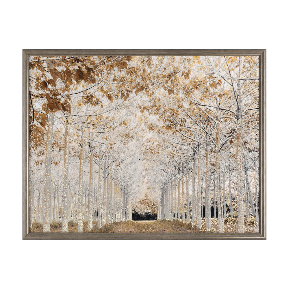 Framed Canvas Tree Lined Avenue