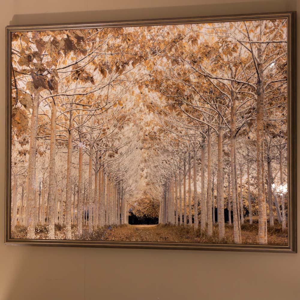 Framed Canvas Tree Lined Avenue