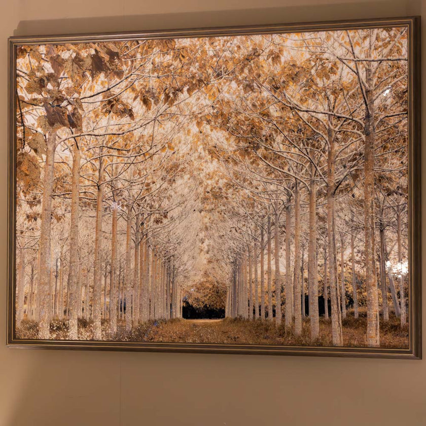 Framed Canvas Tree Lined Avenue