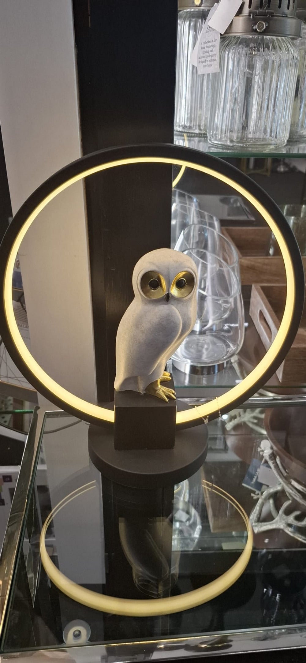 Owl USB Light